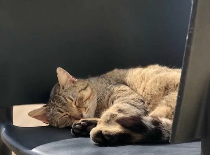 Bed & Breakfast Les Rochers