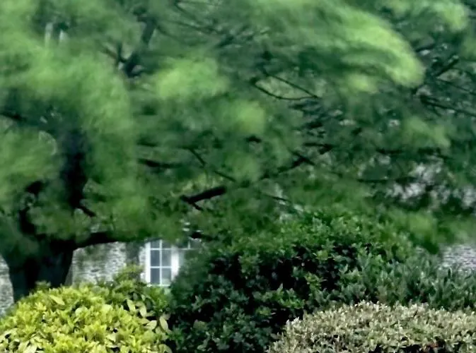 Bed & Breakfast Les Rochers Cerisy-la-Foret